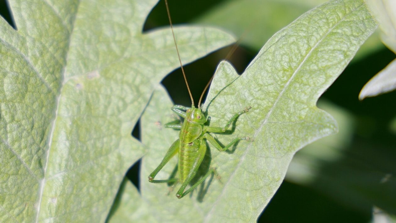 Finančná gramotnosť: Kľúčové kompetencie a vzdelávanie